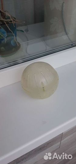 Клетка для хомяка бу