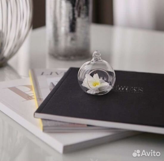 Подсвечник-террариум D5,5