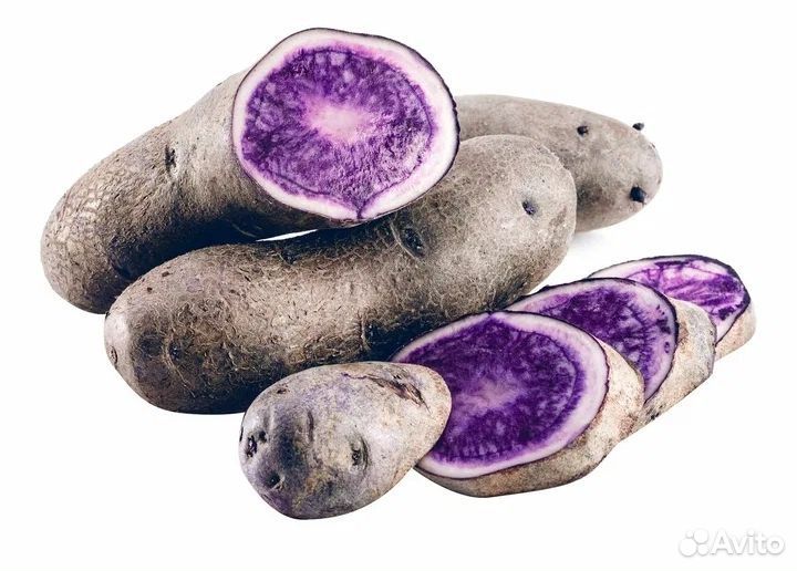 Продам картофель фиолетовый
