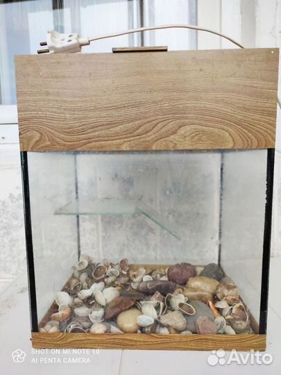 Аквариум для красноухой черепахи