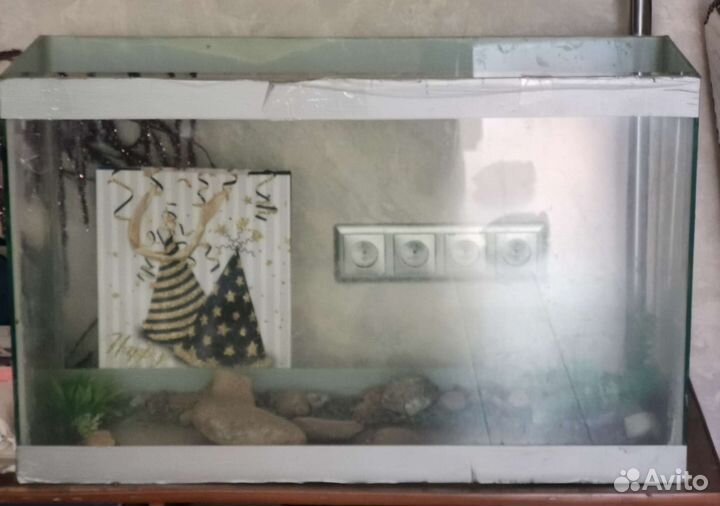 Черепаха с аквариумом
