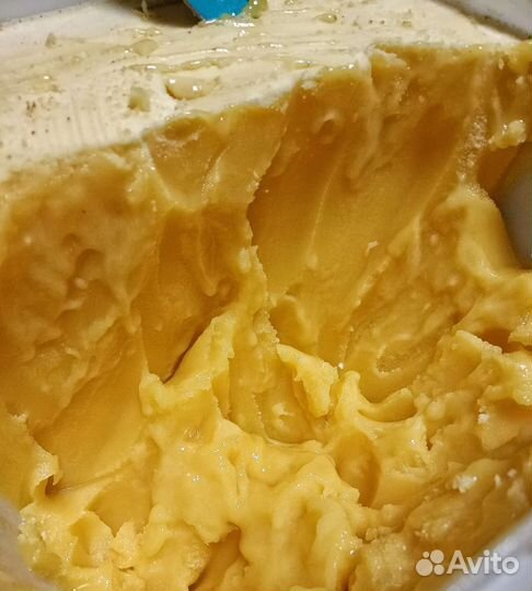 Бак 30 кг Мед Луговой с лабораторной проверкой