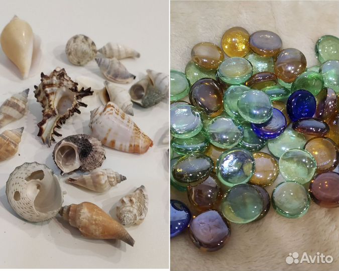 Ракушки/камни