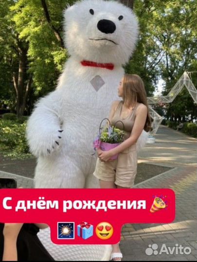 Белый мишка на поздравление