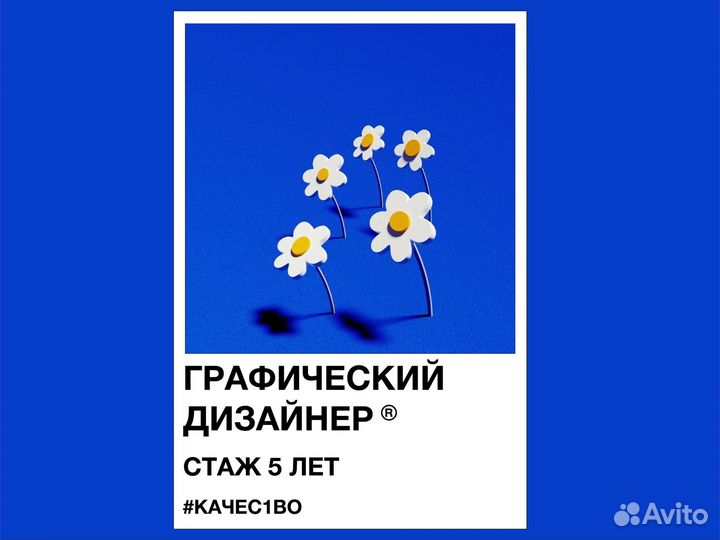 Графический дизайнер фотошоп