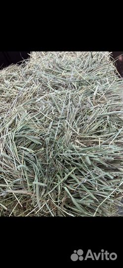 Сено в мешках