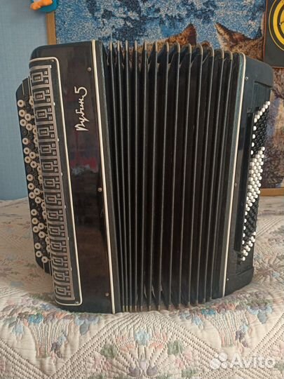 Баян Рубин 5