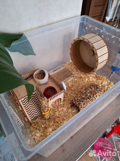 Террариум для хомяка