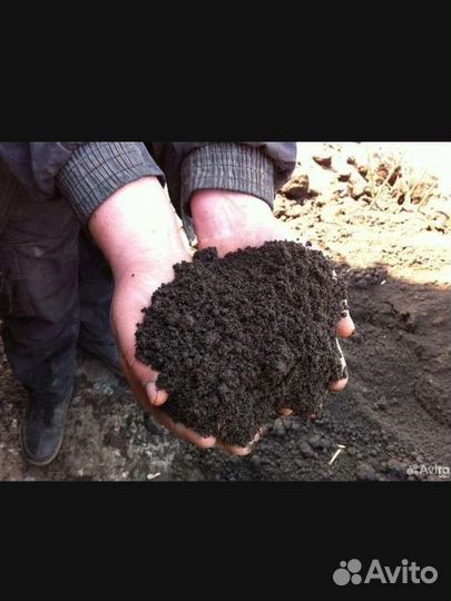 Чернозем конский перегной в мешках