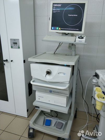 Эндоскопический лазерный микроскоп, Франция