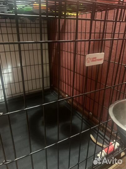 Продаю клетку