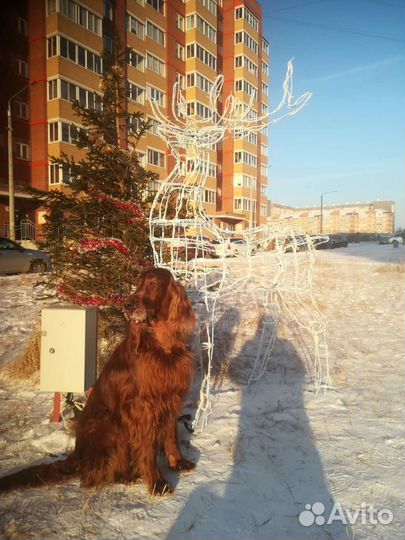 Новогодний олень