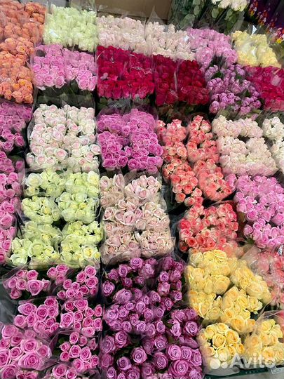 Розы Цветы оптом и в розницу