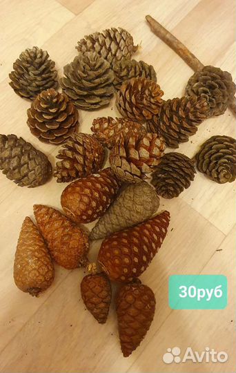 Шишки для поделок