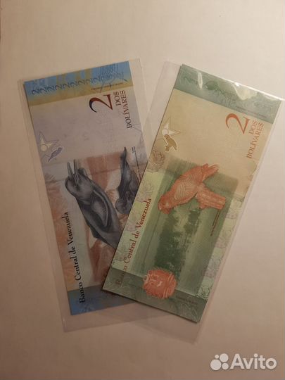 Бакноты Венисуэлы