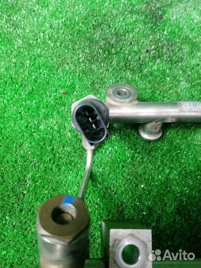 Рампа топливная Volkswagen Passat Cc 357 BWS (3