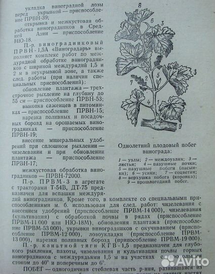 Пелях М. Справочник виноградаря. (1982)