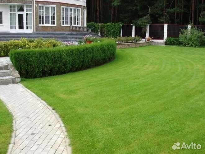 Рулонный газон, укладка, продажа