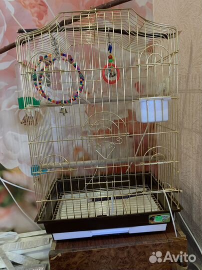 Клетка для попугая