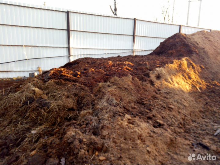 Конский навоз