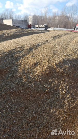 Корм для животных барда зерно смесь