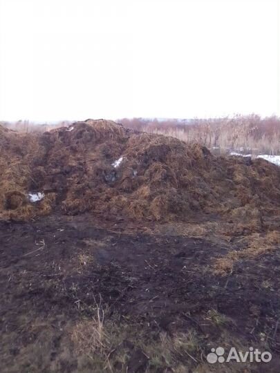 Перегной / Навоз