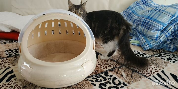 Переноска для кошек пластиковая