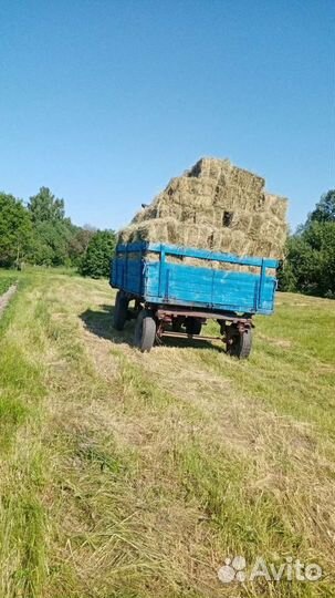 Сено в тюках