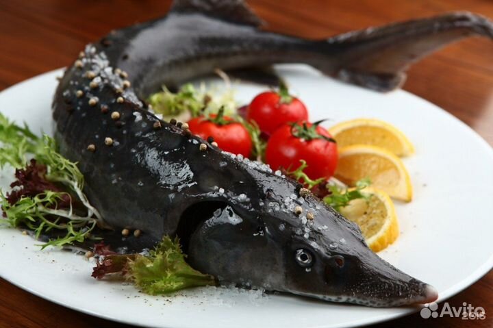 Свежемороженая царская рыба оптом