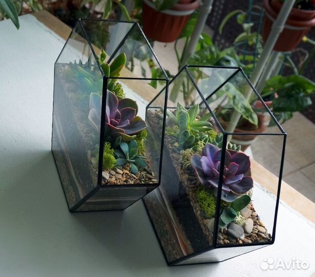 Флорариум Шестигранник