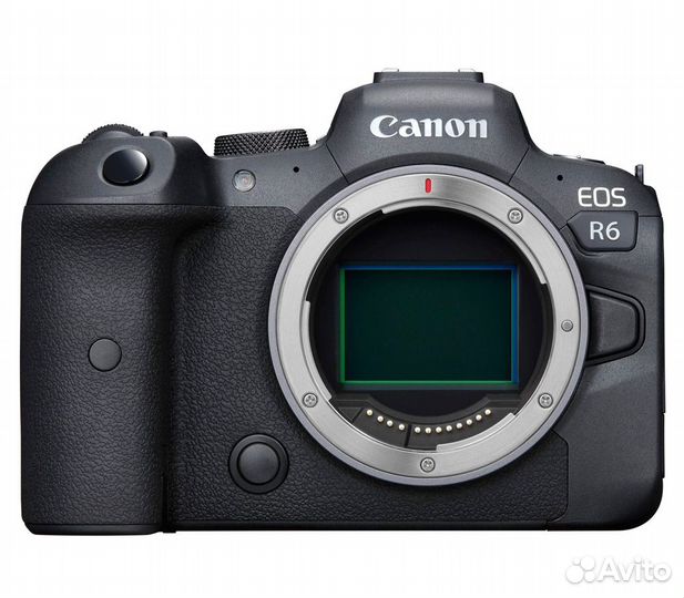 Canon R6 body