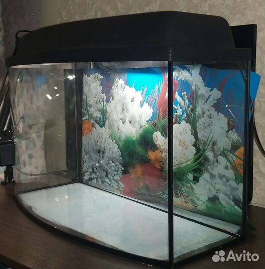 Аквариум 45-50 литров