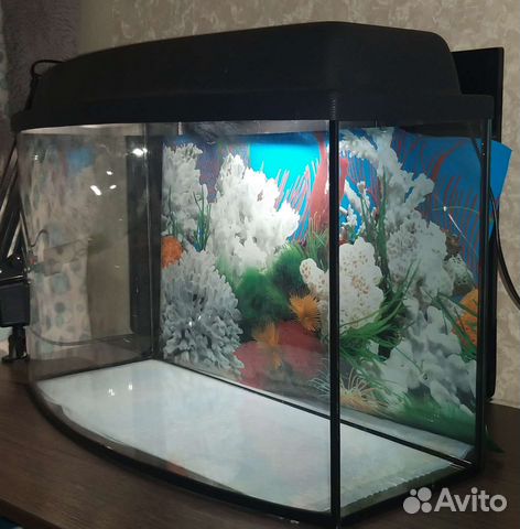 Аквариум 45-50 литров
