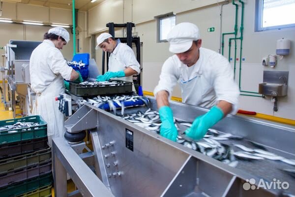 Разнорабочий. Берем всех. Вахта