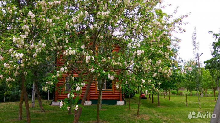 Туристические услуги База отдыха Волга-Каспий 2001