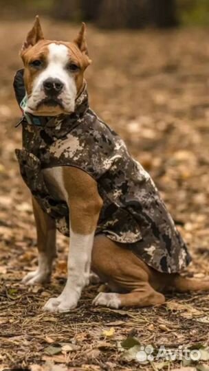 Попона для собак