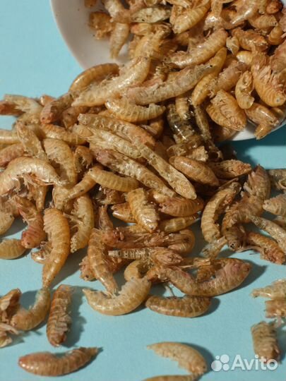 Корм для рыб и черепах 600 мл