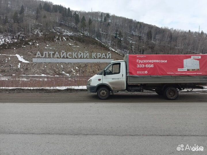 Водитель со своей газелью