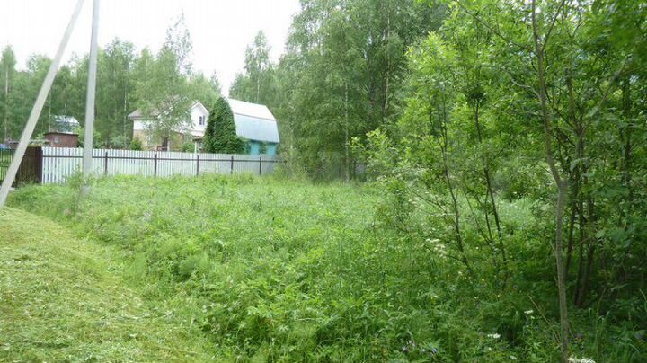 Участок 15 сот. (СНТ, ДНП)