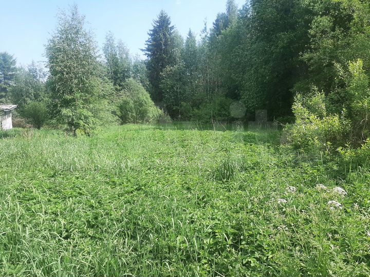 Участок 17 сот. (ИЖС)