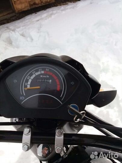 Альфа спорт