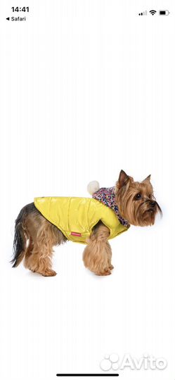 Куртка с капюшоном для маленьких собак