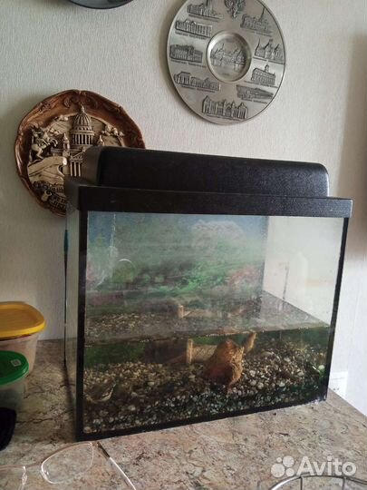 Аквариум