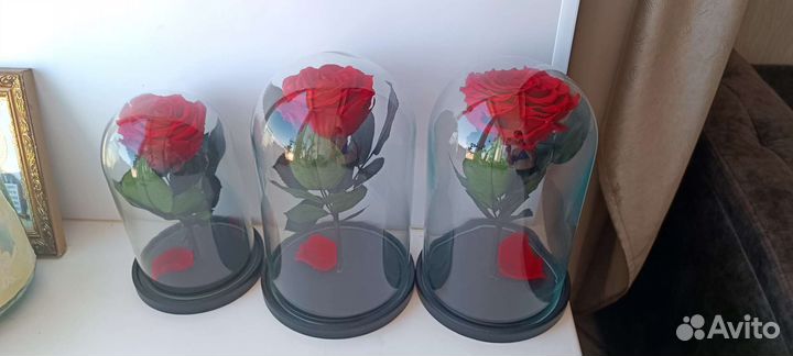 Роза в колбе