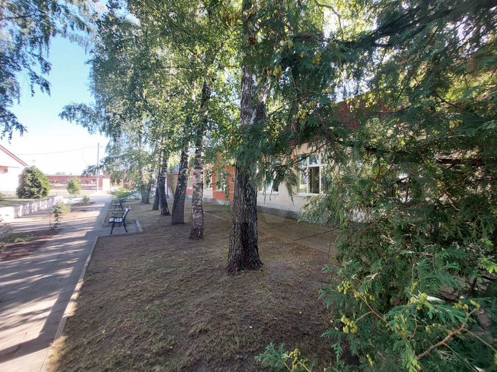 Свободного назначения, 245 м²