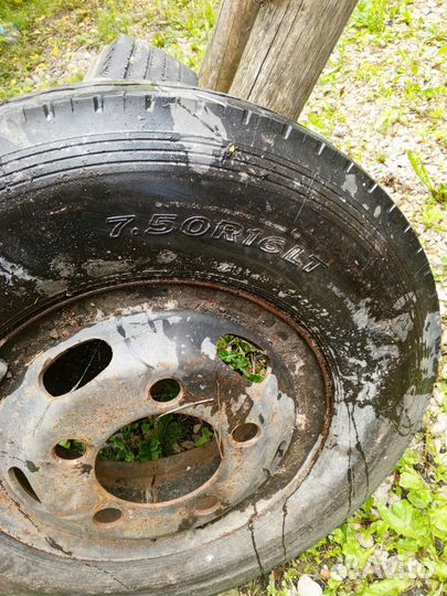 Грузовые шины