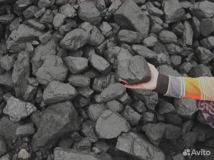 Традиционное тепло с древесиной разных сортов