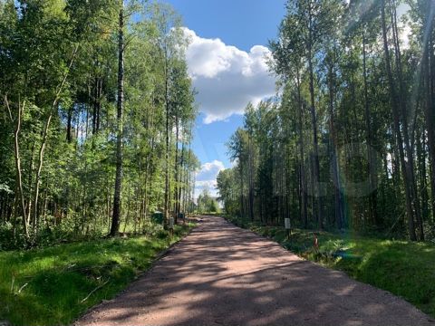 Участок 10 сот. (СНТ, ДНП)