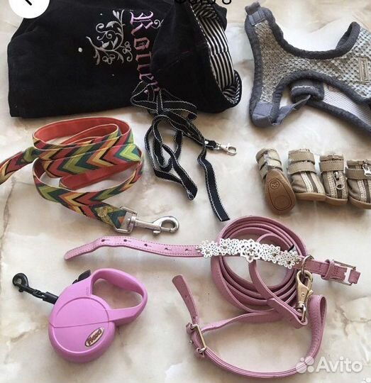 Шлейки, поводки, обувь, куртки, ступеньки