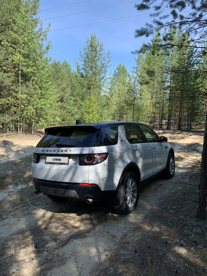 Land Rover Discovery Sport: фото владельца